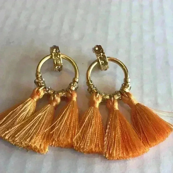 J Crew new Pave Rusted Tassel Earrings - Picture 7 of 8